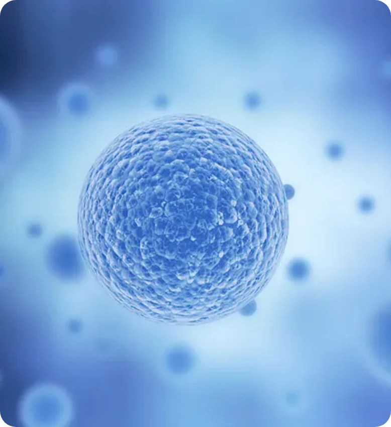 Higher Stem Cell Levels in 3 Days (Heal Faster)