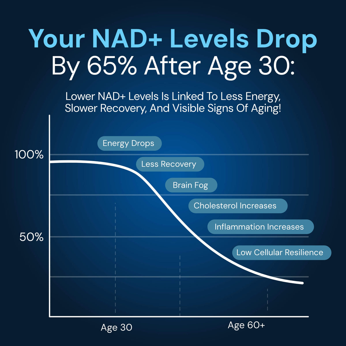 NAD3 gallery image