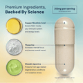 NAD3® 60 • An All Natural NAD+ Booster® Dietary Supplement (1 Month Supply)