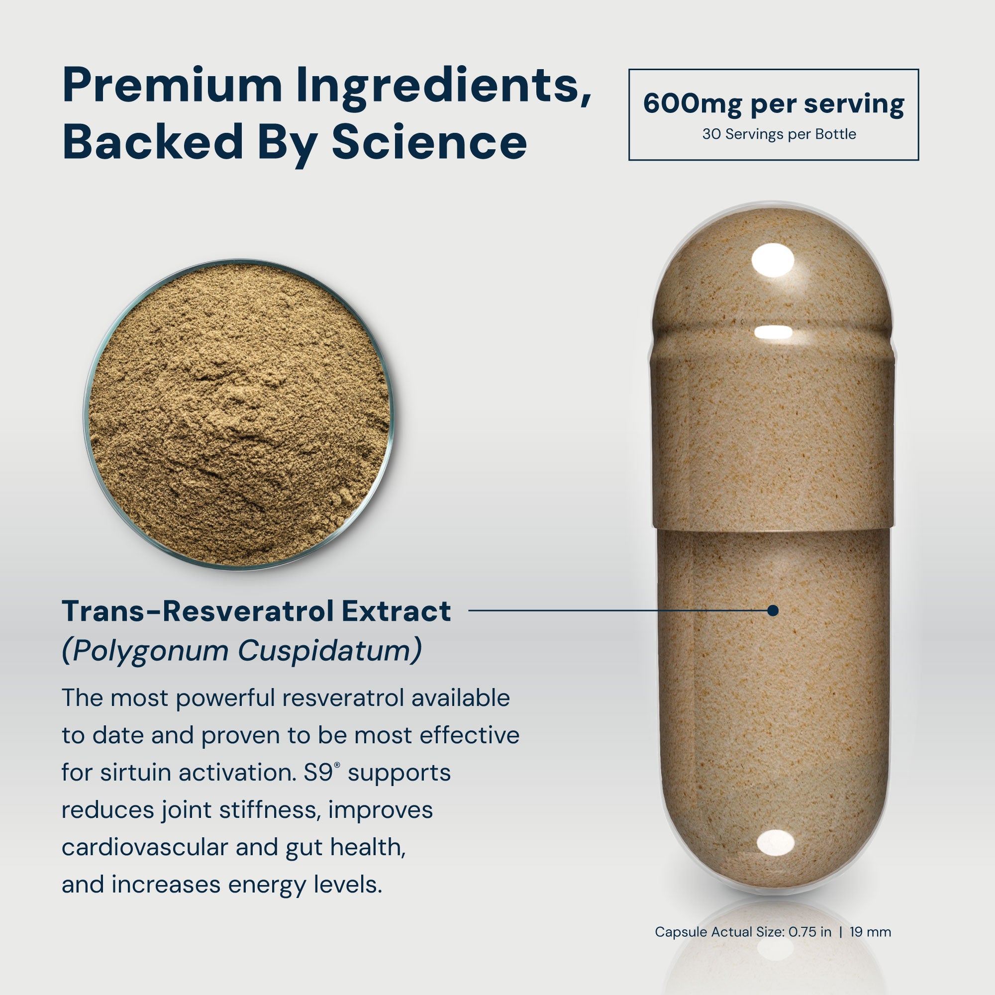 S9® Sirtuin Booster™ Resveratrol