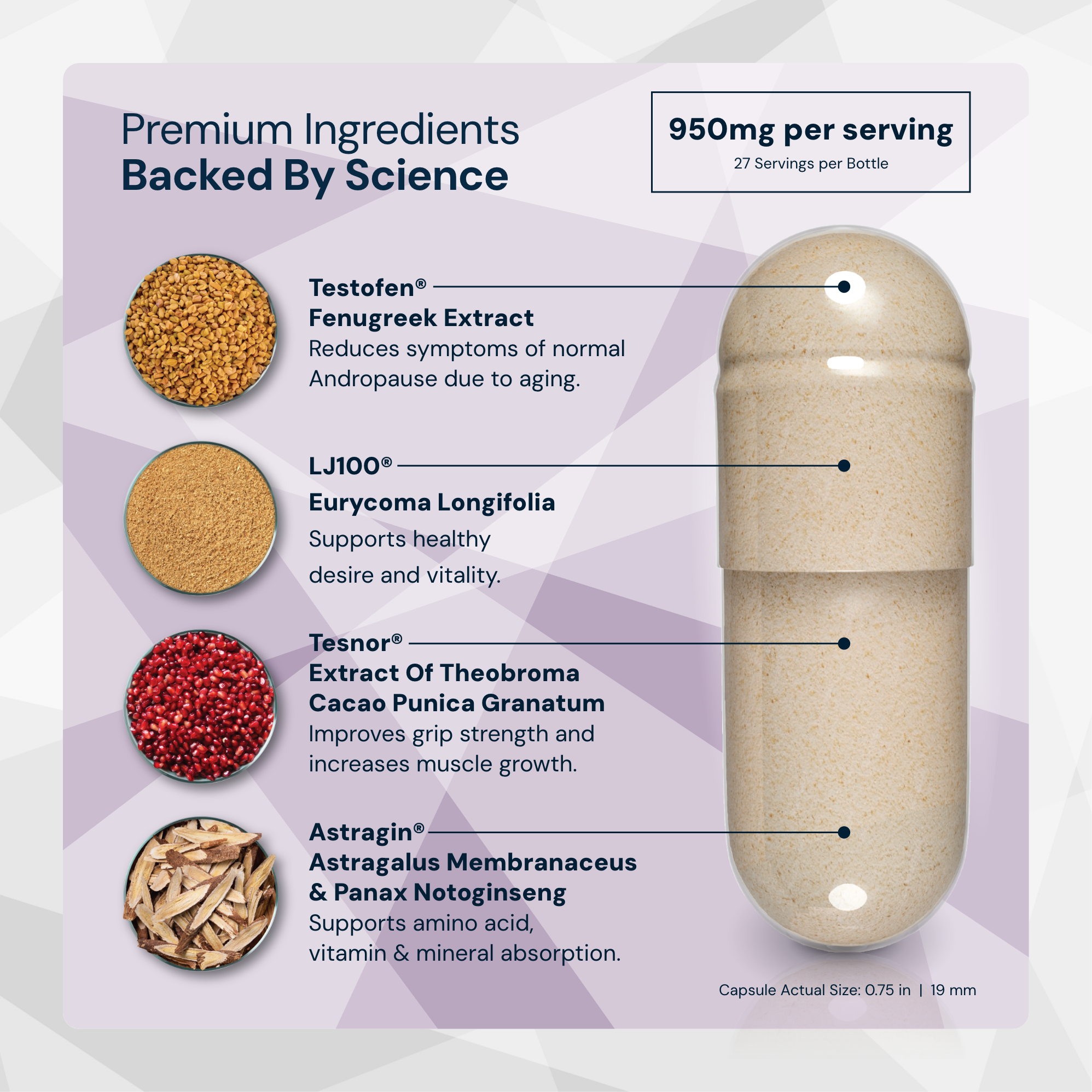 #1 Men's Vitality & Anti-Aging Bundle